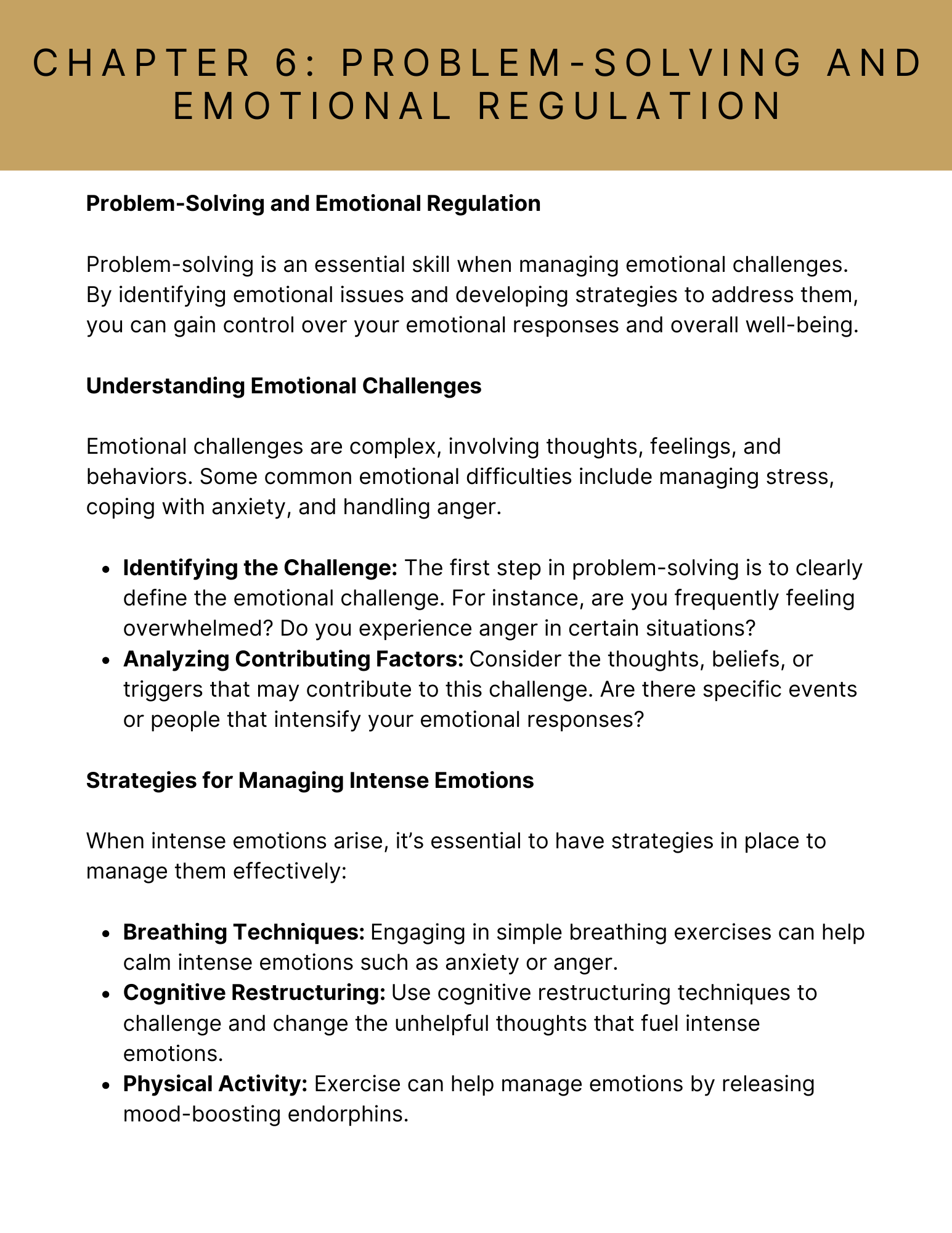 The Emotional Regulation E-Book