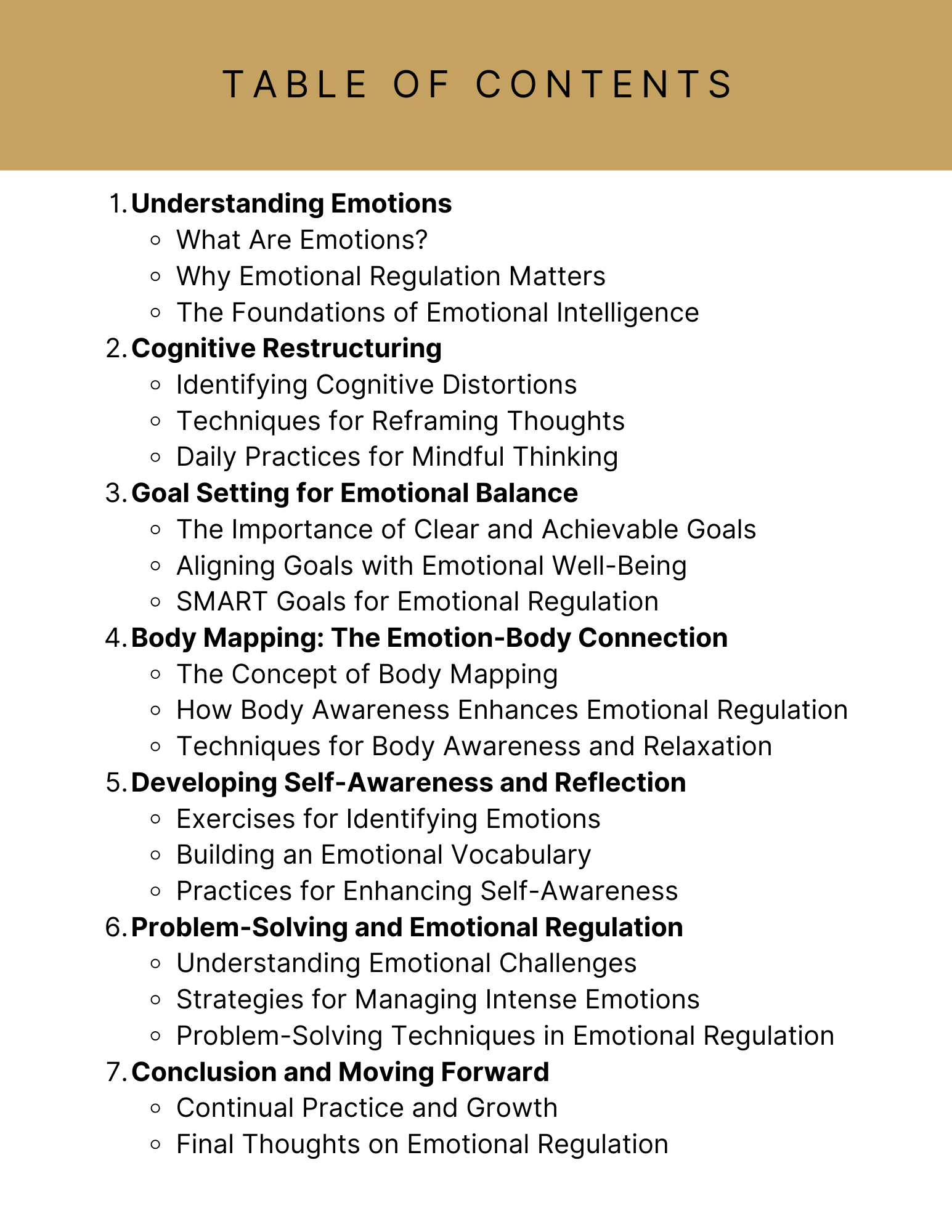 The Emotional Regulation E-Book