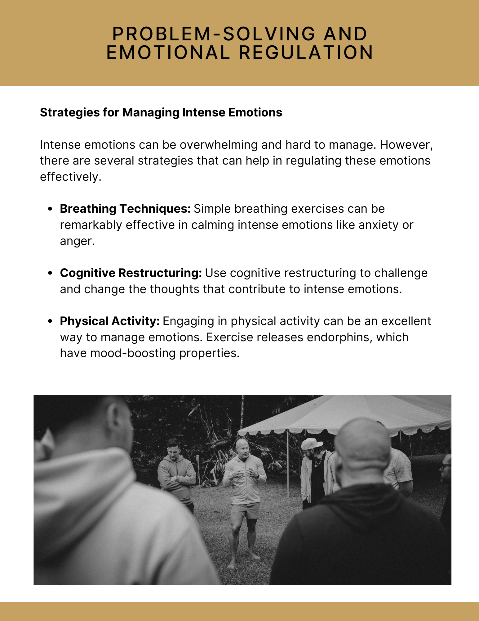 The Emotional Regulation Mastery Workbook