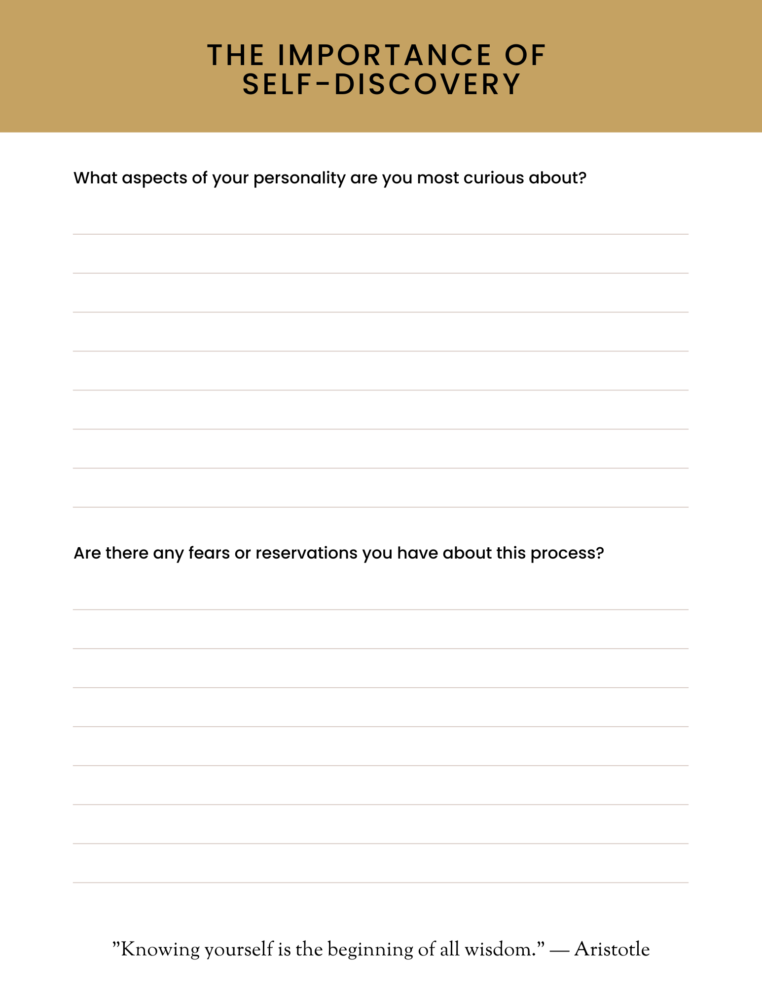 The Self-Discovery Workbook & Journal